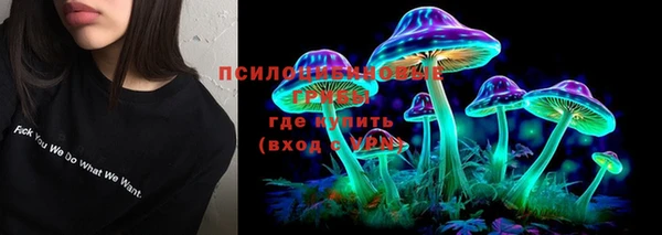 гашик Медногорск
