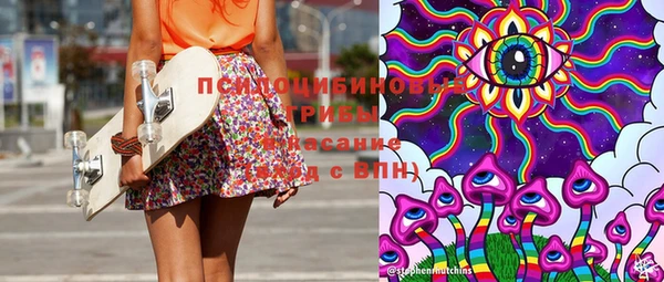 гидра Медвежьегорск