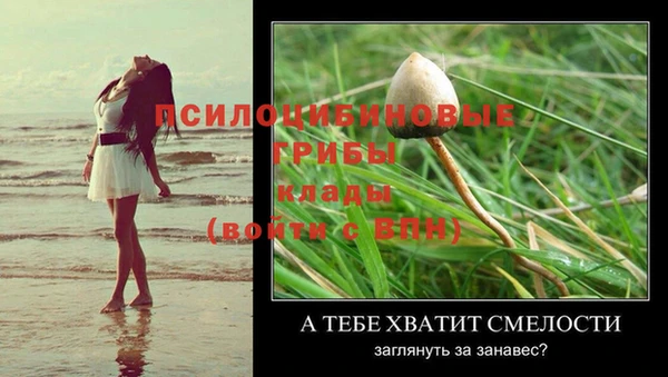 гашик Медногорск