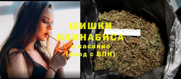 гашик Медногорск