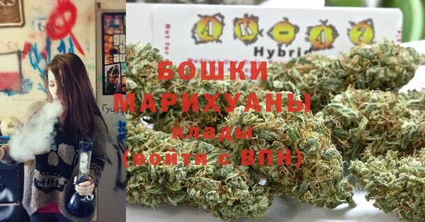 гашик Медногорск
