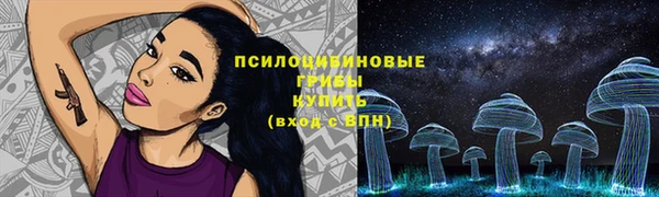 гидра Медвежьегорск