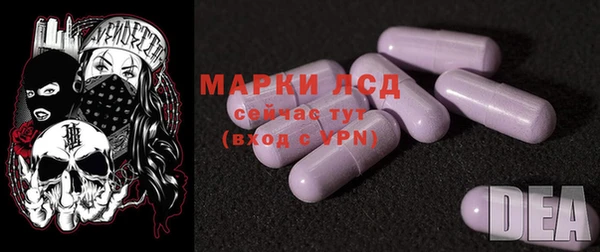 гашик Медногорск
