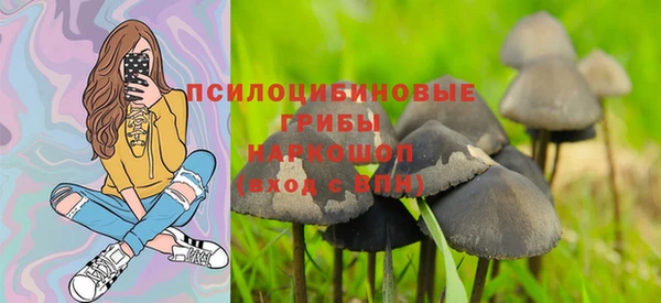 ECSTASY Вяземский