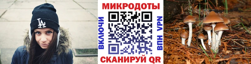 Псилоцибиновые грибы Magic Shrooms Пойковский
